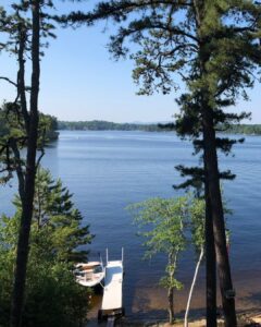 lake through the trees